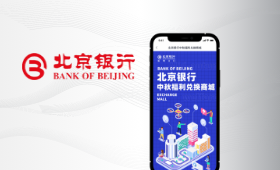 北京銀行項目案例