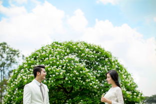 挪威森林攝影服務(wù) 捕捉自然與情感的完美交融